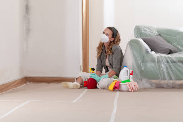 Reliable Black Mold Remediation contractor in Erie, CO by Car Mold Remediation